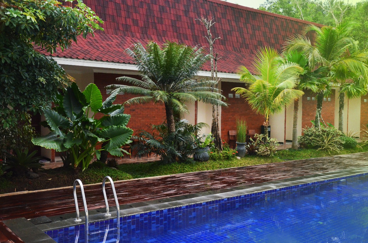 IKLAN ASOKA 1
