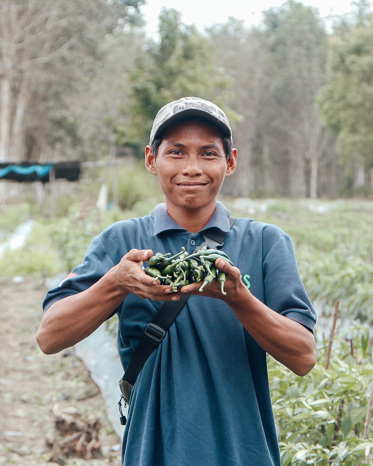 PETANI CABAI MILENIAL BANJAR 1