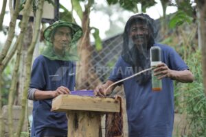 13 kelompok Perhutanan Sosial