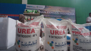PUPUK BERSUBSIDI