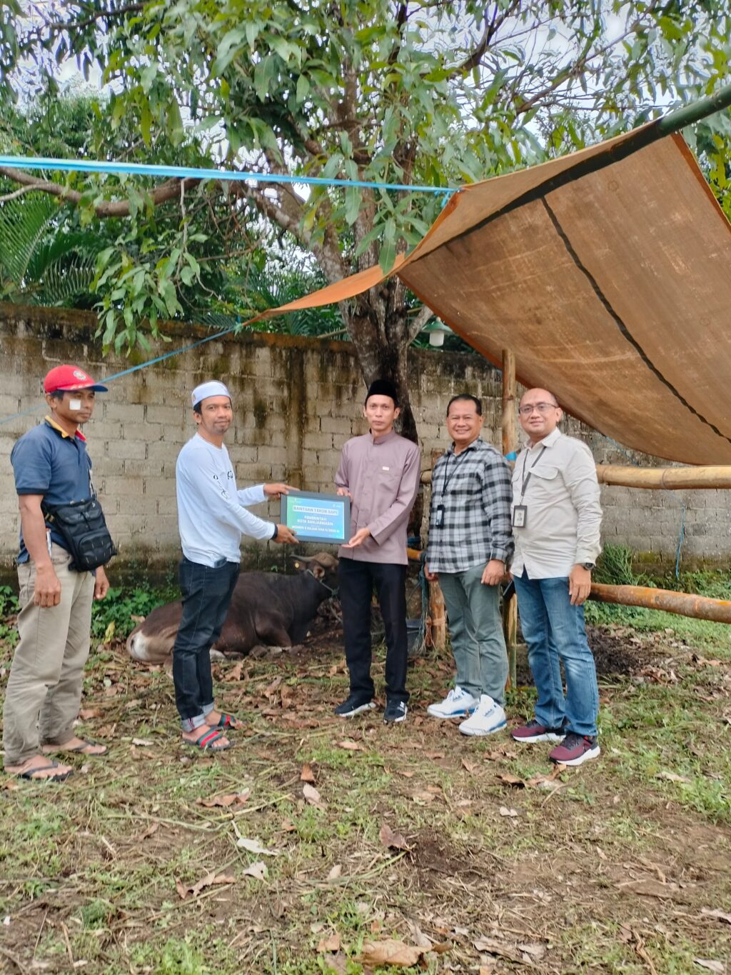 SAPI HAUL UTAMA