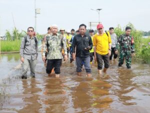 BUPATI BATOLA TINJAU BANJIR