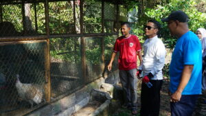 KEBUN BINATANG 2
