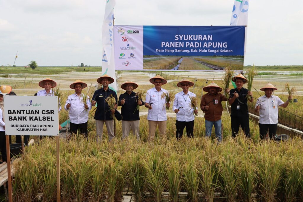 PANEN PADI APUNG UTAMA
