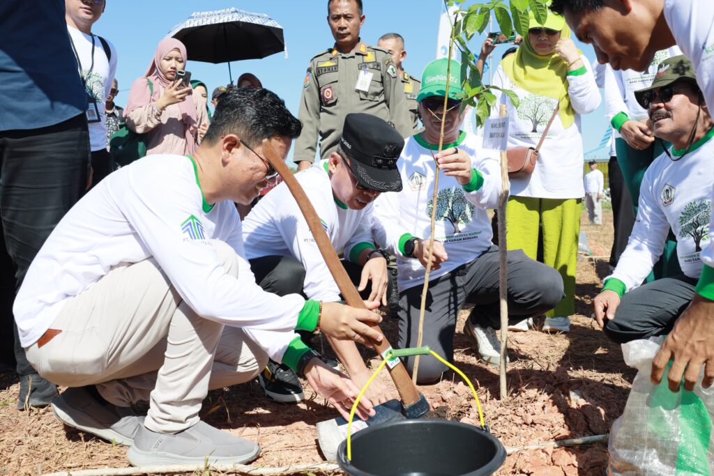 TANAM POHON UTAMA