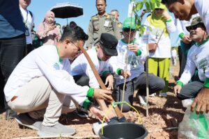 TANAM POHON UTAMA