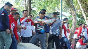 MANCING 2