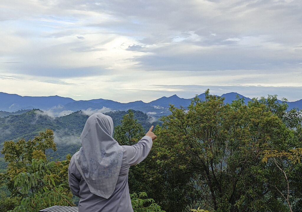 SINYAL