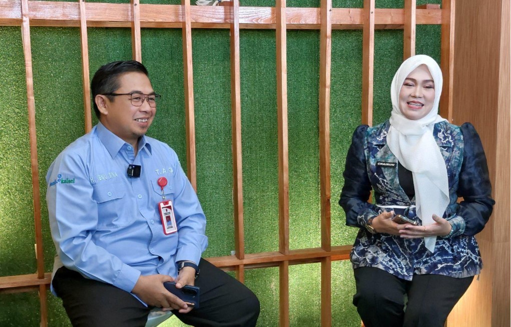 TENAGA AHLI GUBERNUR H IBNU SINA