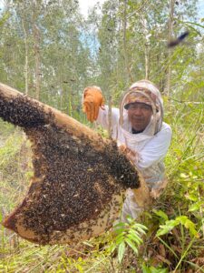 MADU KAUM UTAMA