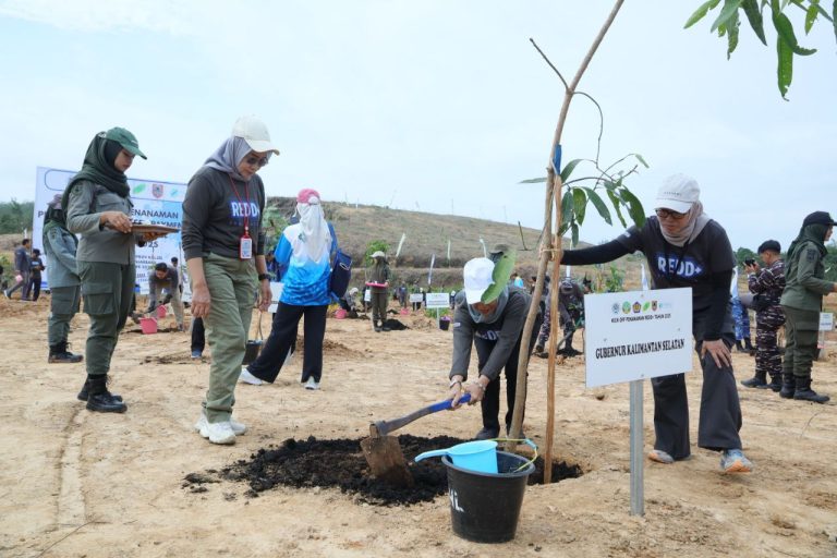 PENANAMAN POHON DISHUT