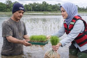 PETANI DAN PENYULUH PERTANIAN