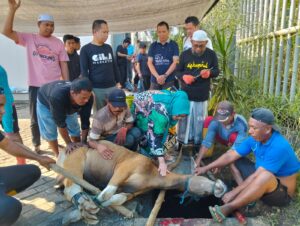 QURBAN OK 2