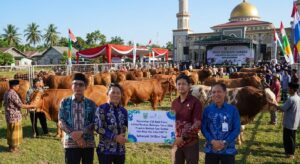 SAPI IDUL ADHA BALANGAN