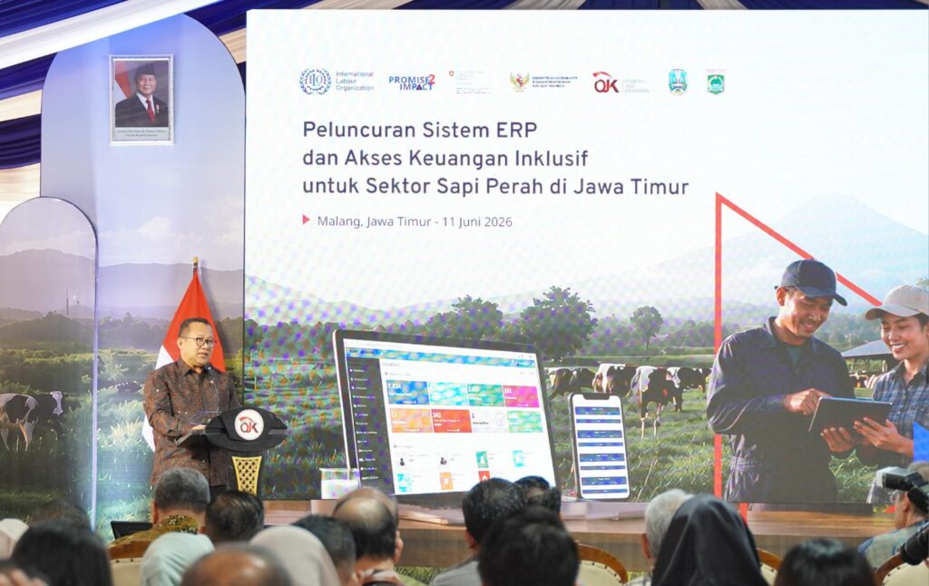 PETERNAK SAPI PERAH