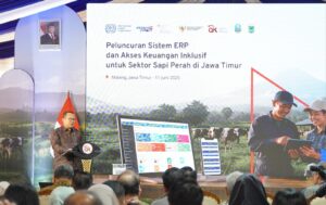 PETERNAK SAPI PERAH