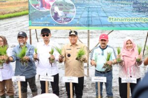 TANAM SEREMPAK