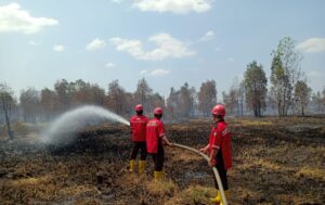 ASTRA AGRO PANGAYUAN 1