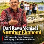 OJK Menggerakkan Ekosistem Keuangan, Padi Apung Menghidupkan Potensi Rawa Kalimantan Selatan